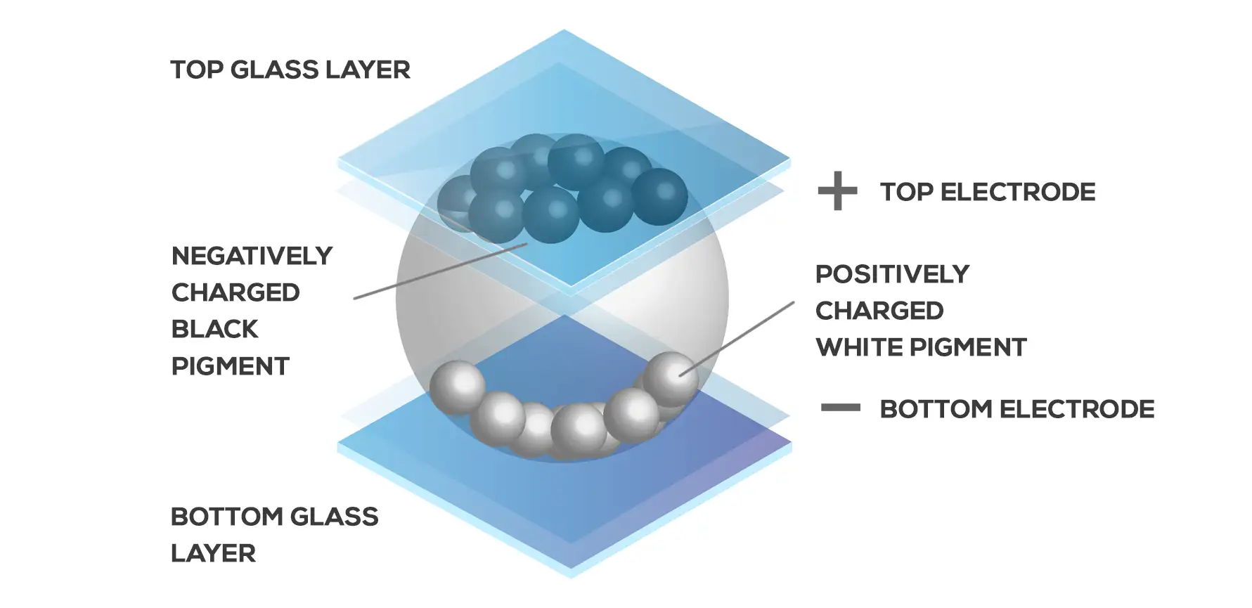 the working of an e-ink capsule with pigment